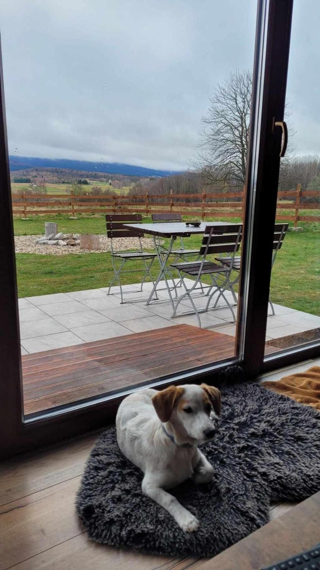 Drewniane Domki Z Prywatnym Jacuzzi I Widokiem Na Gory - Klimatyczny Kompleks W Gorach Izerskich #Widogruszka Grudza Exterior foto